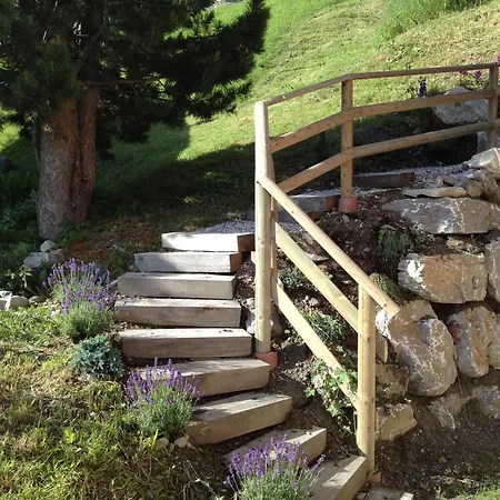 Aventure 拉茨欧马兹